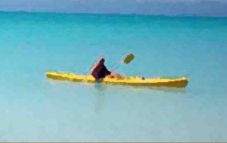 paseo en kayak
